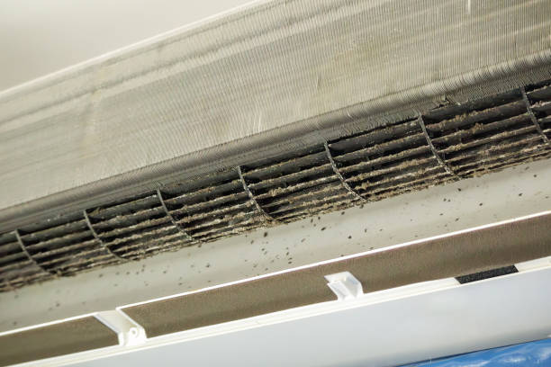 Best HVAC Duct Inspection Services  in Lincoln, MO